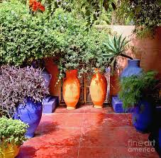 Moroccan Patio Painted Concrete Mediterranean Plants Mediterranean Garden Moroccan Garden