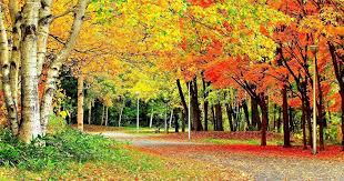 27 Desktop Wallpaper Hd Full Screen Nature Wallpapers For Desktop Backgrounds Fu Hd Nature Wallpapers Desktop Background Nature Beautiful Nature Wallpaper Hd