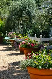 The Polished Pebble Pots In The Garden Plants Container Plants Shade Plants
