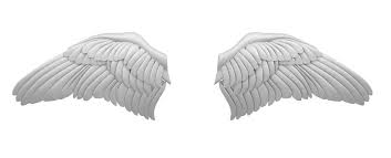 Wings 3d Model Ad Wings Model 3d Model Wings Model