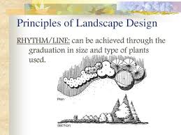 Principles Of Landscape Design Landscape Design Landscape Flower Bed Designs
