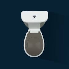 Parfois, certaines idées parviennent à l'esprit de personnes pour ne plus. Abattant Gris Papado La Lunette De Toilette Personnalisable Lunette De Toilette Lunette Wc Abattant Toilette