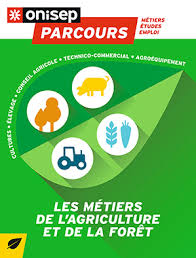 Les Metiers Et L Emploi Dans L Environnement Onisep