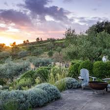A Mediterranean Inspired Garden For A Changing Climate Garden Design Gorgeous Gardens Mediterranean Plants