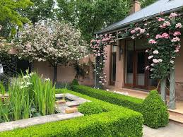 Peter Stubbs City Gardens Home Facebook