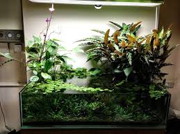 Pin On Aquascaping