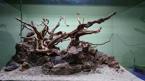 Simonsaquascapeblog Aquarium Landscape Aquascape Aquarium Aquarium Design