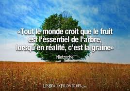 You Are Being Redirected Citation Pensee Citation Pensees Positives