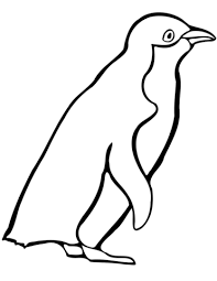 Dibujo Pinguino Para Colorear