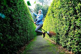 Sebelum memutuskan untuk menyekolahkan anak, setiap orang tua terlebih dulu memikirkan berapa biayamasuk sd yang akan dikeluarkan selama pendidikan berlangsung. Lokasi Dan Harga Tiket Masuk Taman Labirin Coban Rondo Malang Serunya Bermain Petak Umpet Di Tengah Tumbuhan Hijau Daka Tour