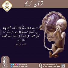 Mothers Womb Quran Verses Quran Quotes Islamic Quotes