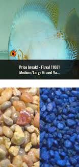 Fluval 11081 Medium Large Gravel Vacuum Cleaner Cleaners Vacuum Cleaner Gravel