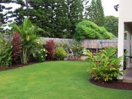 Seashore Paspalum Florida Landscaping Tropical Backyard Landscaping Garden Landscape Design