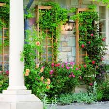 How To Build An Elegant Wall Attached Trellis An Elegant Wall Attached Trellis Panel Sunset Com Diy Garden Trellis Building A Trellis Wall Trellis