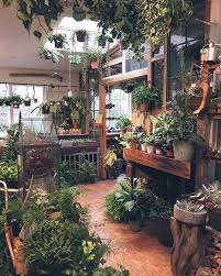 My Dream Sigh Room With Plants Indoor Garden Garden Room