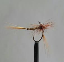 My Emerger Dry Fly Peche Peche Mouche Peche A La Mouche