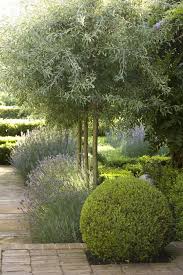 Sydney Based Garden Designer Peter Fudge Has Never Been Fazed By The Fact That Australia Is Drought Tolerant Garden Backyard Landscaping Front Yard Landscaping