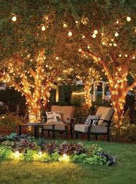Clear Globe Lights Hardscapewalkway Outdoor Backyard Backyard Lighting Backyard Trees
