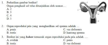 Kisi Kisi Soal Dan Jawaban Ipa Smp Kelas 9 Pas Semester Ganjil Didno76 Com