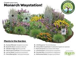Garden Design Magazine On Instagram Create Your Own Monarch Waystation Great Layout From Ringerslandsc Butterfly Garden Design Butterfly Garden Plants
