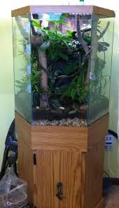 Pin On Gecko Terrarium Inspiration