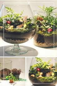 Want To Make A Terrarium Without All The Fuss Check Out Plant Nite Bring Friends Get Some Drinks And Ge How To Make Terrariums Twig Terrariums Terrarium Diy