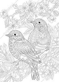 Coloring Pages For Adults Lovely Birds Couple Spring Etsy Bird Coloring Pages Animal Coloring Pages Animal Coloring Books