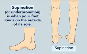Best Running Shoes For Supination Top Athletic Shoe Models For Underpronation Best Running Shoes Shin Splints Running Shoes