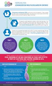 Pin On Ontario Animal Health
