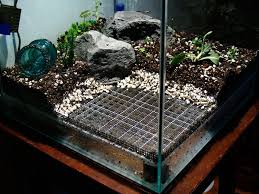 Vivarium Works 17 X 17 Vivarium Planted Aquarium Reptile Terrarium