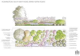 Planting Plan British Native Plants Planting Design Plan Plant Design Planting Plan