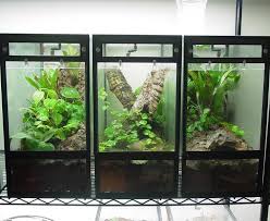 Vertical Conversion Kits For 10 20g Aquariums Crested Gecko Habitat 10 Gallon Fish Tank Crested Gecko Vivarium