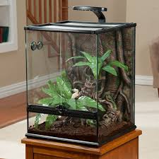 Exo Terra Crested Gecko Setup Yahoo Image Search Results Crested Gecko Habitat Crested Gecko Gecko Habitat