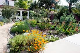Beyond Succulents 10 Favorite Native Plants From A California Garden Tour The Horticult California Native Plants California Native Garden California Garden