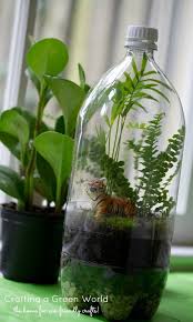 Terrarium Diy Turn An Old Soda Bottle Into A Miniature Rain Crafting A Green World Earth Day Crafts Rainforest Crafts Crafts From Recycled Materials