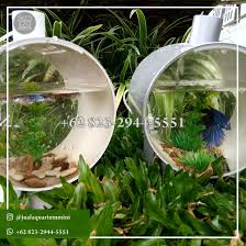 Terbaru 62 823 2944 5551 Harga Aquarium Mini Mini Aquarium Aquarium Aquarium Filter