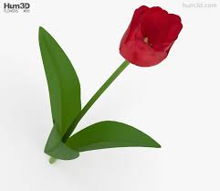 3d Model Of Tulip 3d Model Tulips Scene Setup
