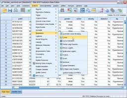 Spss Windows 10 Artlasopa