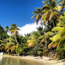 Epingle Sur Les Plus Belles Plages De Guadeloupe
