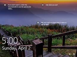 After selecting the answer there is the answer results and information about the question. Windows Spotlight Wikipedia