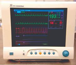 Systolic pressure is the blood pressure reading when your heart beats. Blood Pressure Monitoring From A Nursing Perspective Part 2 Blood Pressure Monitoring Techniques Today S Veterinary Practice