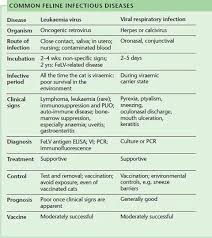 Pin By Amanda Cameron On Veterinary Technician Student Veterinary Technician Student Vet Med Med Student