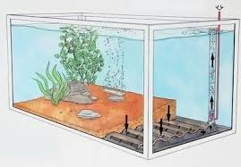 How To Choose Aquarium Equipment Diy Aquarium Filter Aquarium Aquaponics
