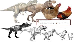 Apakah Ayam Kampung Dan Ayam Hutan Memiliki Nenek Moyang Yang Sama Apa Hubungannya Dengan T Rex Youtube