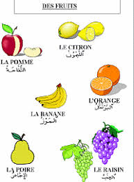 Themes Imagier Francais Arabe Apprendre L Arabe Vocabulaire Arabe Apprentissage