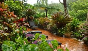 Tropical Garden Furniture Set Idea Photo Taman