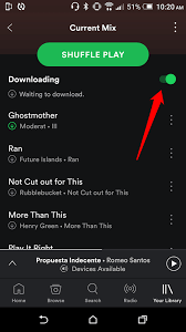How To Download Spotify Songs In Seconds 2 Simple Methods