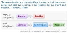 Great Quote On Mindfulness Mindfulness Mindfulness Quotes Inspirational Quotes