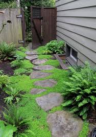 Garden Apparel Gardening Applications Of Nanotechnology In Engineering Rhs A Z Encyclopedia Backyard Garden Design Shade Garden Design Side Yard Landscaping