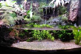 Paludarium Construction Photo Journal The Planted Tank Aquarium Fish Tank Aquarium Fish Tank